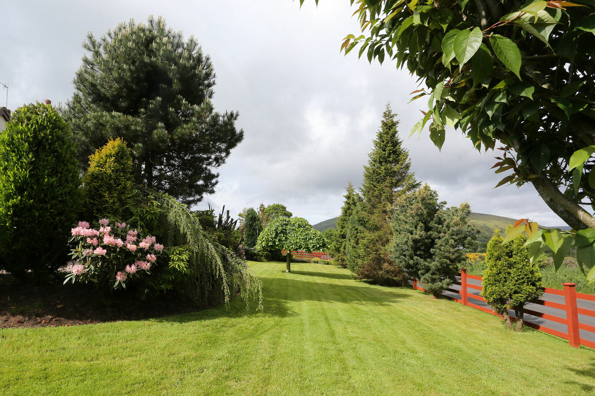 Sleepy Hollow B&B Ballymena Exteriér fotografie