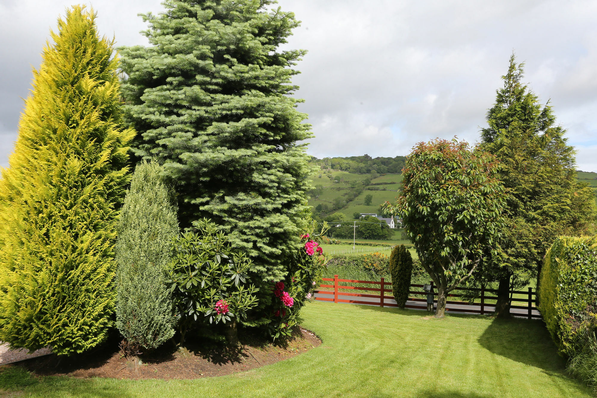 Sleepy Hollow B&B Ballymena Exteriér fotografie