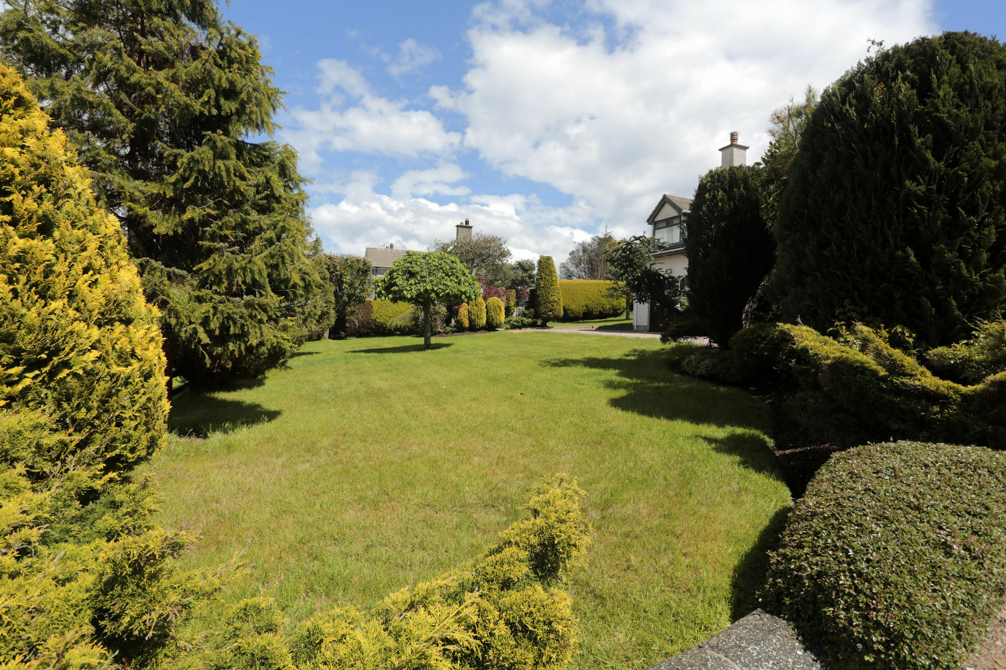 Sleepy Hollow B&B Ballymena Exteriér fotografie